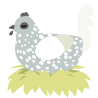 Sodium, a silver and white chicken with a speckle pattern