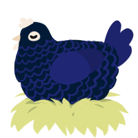 A tumblr and navy chicken with a lace pattern