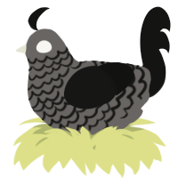 A grey and black chicken with a lace pattern