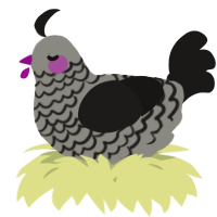 A ash and sable chicken with a lace pattern