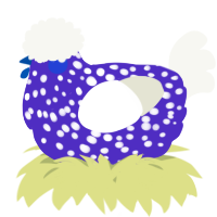 A indigo and white chicken with a speckle pattern