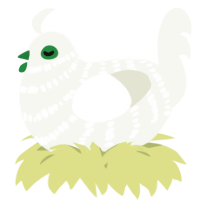A white chicken with a bar pattern