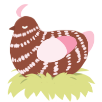 Confection, a russet and rose chicken with a bar pattern