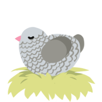 Pigeon, a mist and ash chicken with a lace pattern