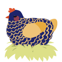 A navy and honey chicken with a lace pattern