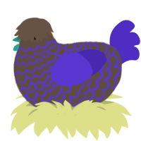 Can, a bark and indigo chicken with a lace pattern