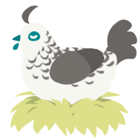 A white and grey chicken with a half-lace pattern