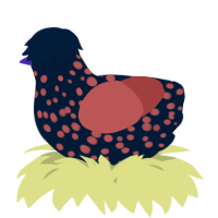 A tumblr and red chicken with a speckle pattern