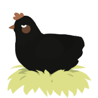 A black chicken with a head pattern