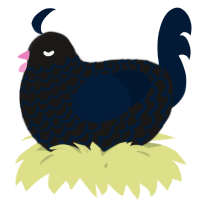 A sable and tumblr chicken with a lace pattern