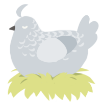 A mist chicken with a half-lace pattern