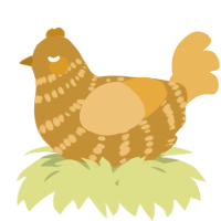 A gold and honey chicken with a bar pattern