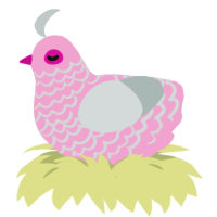 Wonderful Baby, a pink and silver chicken with a lace pattern