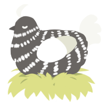 A grey and white chicken with a bar pattern