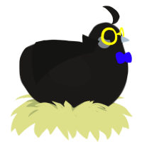 Rockin, a sable chicken