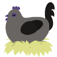 A grey and sable chicken