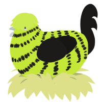 Archie, a lime and sable chicken with a bar pattern