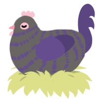 dusty rose, a grey and overcast chicken with a bar pattern