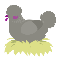 A ash chicken with a neck-speckle pattern