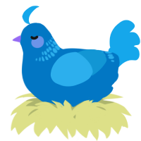 A sapphire and sky chicken with a neck-band pattern