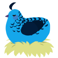 Indigo Bunting, a sky and tumblr chicken with a half-lace pattern