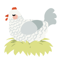A white and silver chicken with a lace pattern
