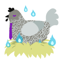 A ash and silver chicken with a double-lace pattern