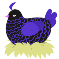 A sable and indigo chicken with a lace pattern