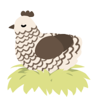 A cream and bark chicken with a lace pattern