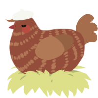 A russet and brown chicken with a bar pattern