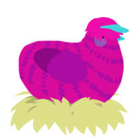 A fuchsia and plum chicken with a bar pattern