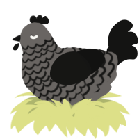A grey and black chicken with a lace pattern