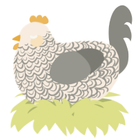 A cream and ash chicken with a double-lace pattern