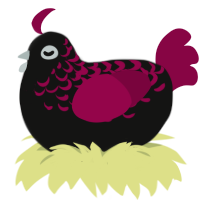 Baccará, a black and maroon chicken with a half-lace pattern