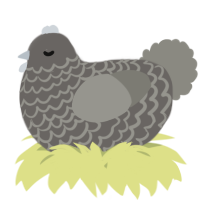 A grey and ash chicken with a lace pattern