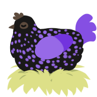 A sable and blurple chicken with a speckle pattern