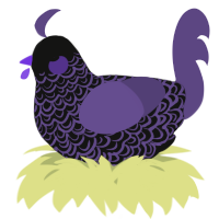 A black and overcast chicken with a double-lace pattern
