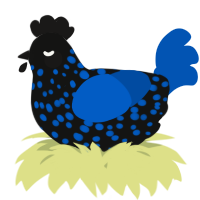 A black and ultramarine chicken with a speckle pattern