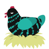 A black and turquoise chicken with a bar pattern