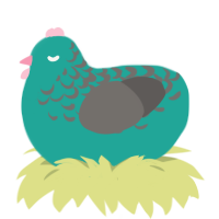 Rose, a turquoise and grey chicken with a half-lace pattern