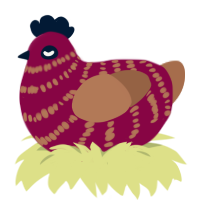 A maroon and brown chicken with a bar pattern