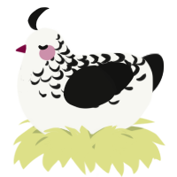 A white and black chicken with a half-lace pattern