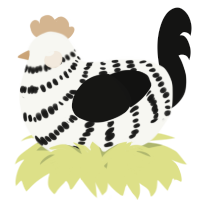 A white and black chicken with a bar pattern