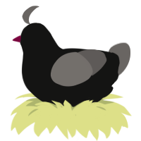 (unnamed), a black and grey chicken