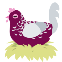 A wine and mist chicken with a half-lace pattern