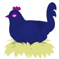 A navy chicken with a bar pattern