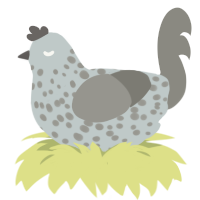 A silver and ash chicken with a speckle pattern