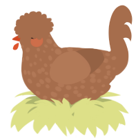A brown chicken with a speckle pattern