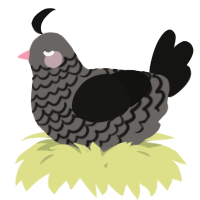 A grey and black chicken with a lace pattern
