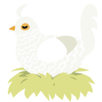 A white chicken with a lace pattern